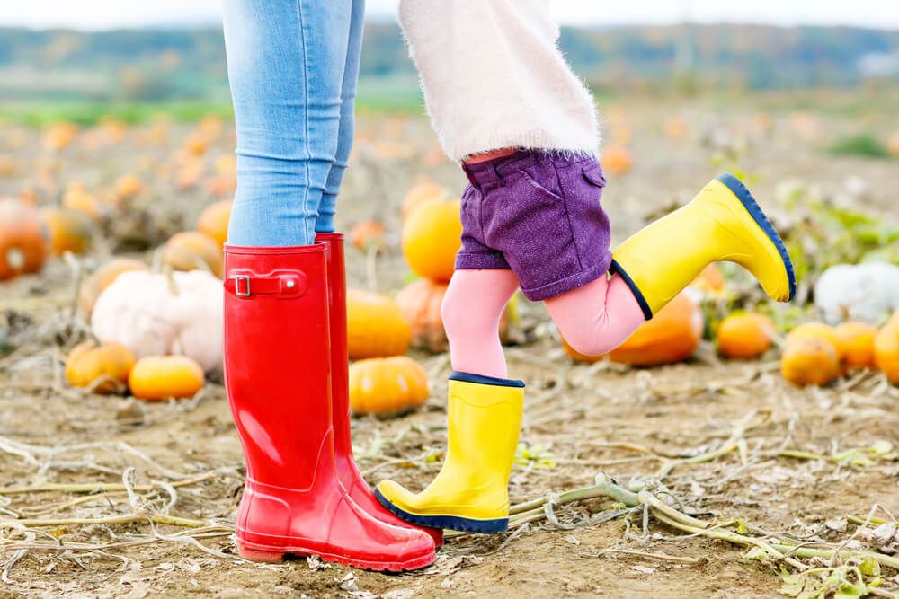 Top 10 Most Instagrammable Pumpkin Patches to Visit This October
